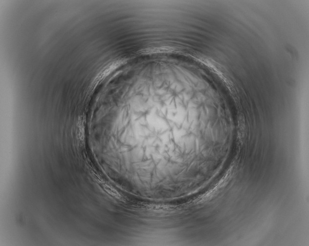 X0000113200921200909171511