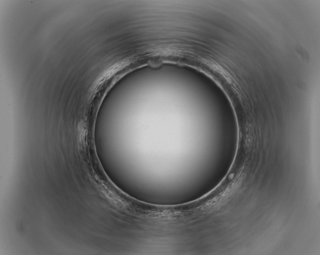 X0000113200922200909171511