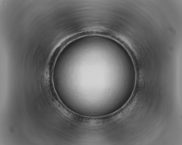 X0000113200923200909171511