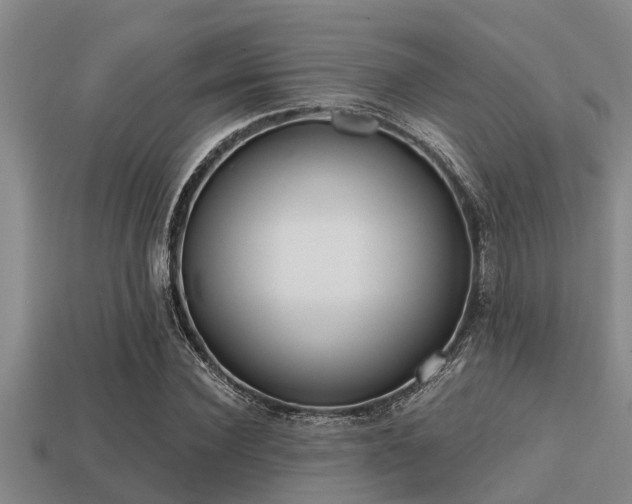 X0000113200924200909171511