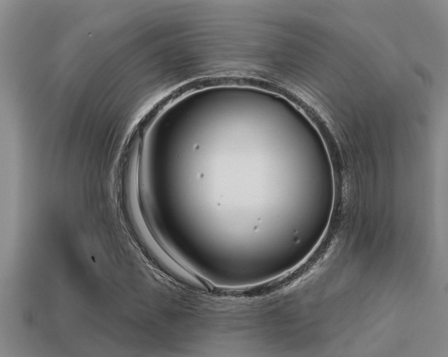 X0000113200925200909171511