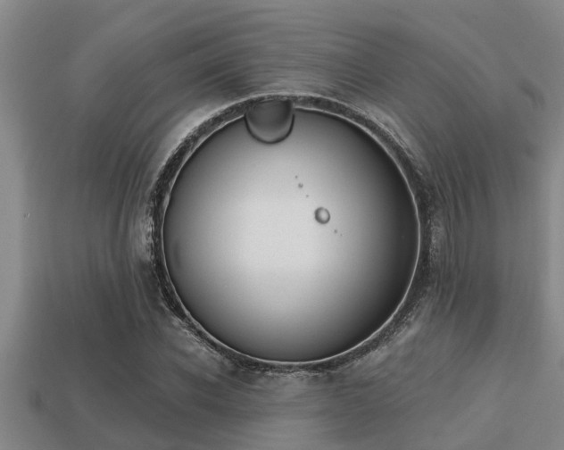 X0000113200926200909171511