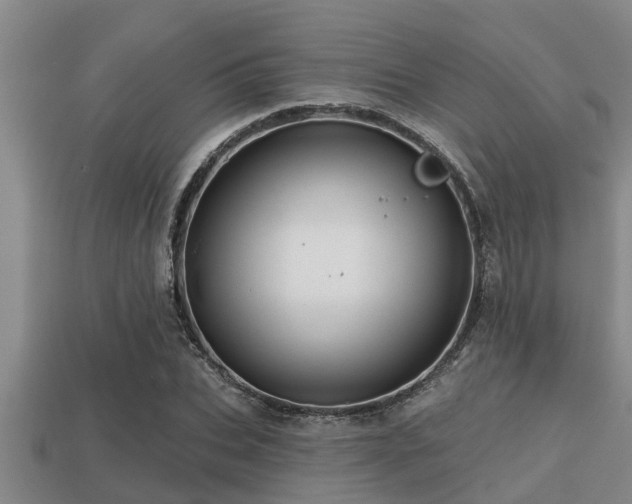 X0000113200927200909171511