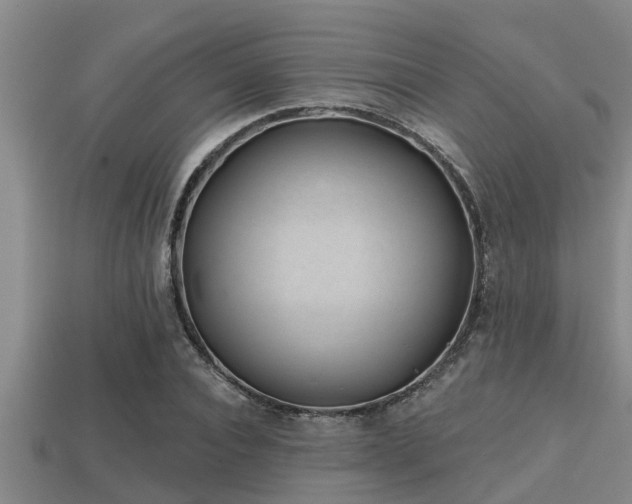 X0000113200928200909171511