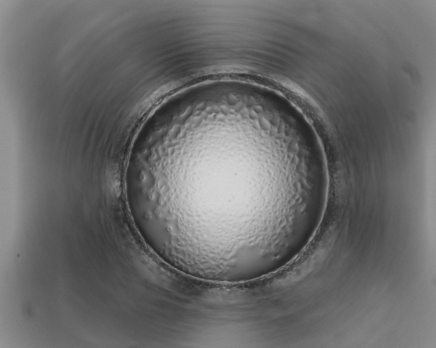 X0000113200929200909171511