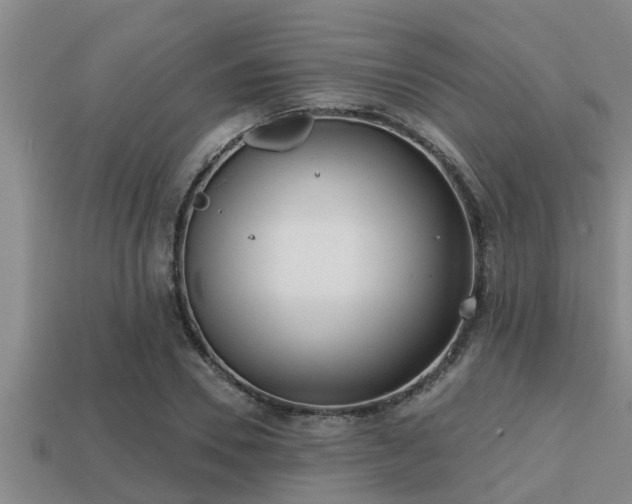 X0000113200930200909171511