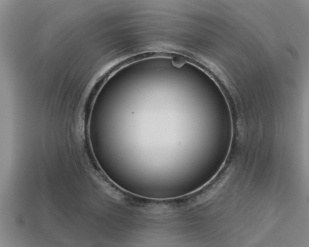 X0000113200931200909171511