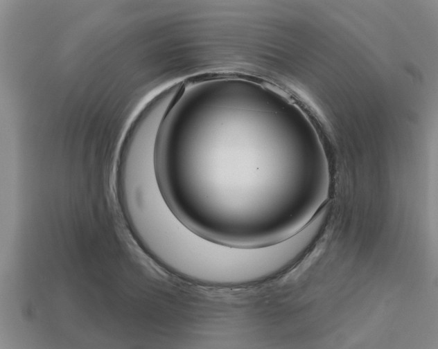 X0000113200932200909171511