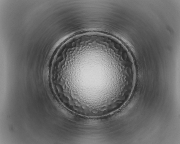 X0000113200933200909171511