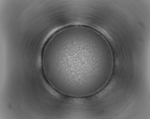 X0000113200934200909171511