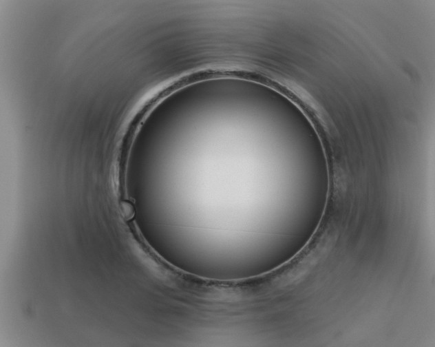 X0000113200935200909171511