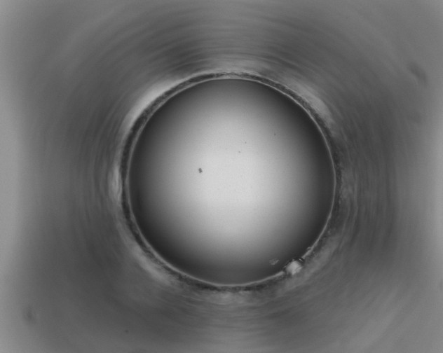 X0000113200936200909171511