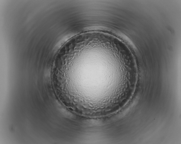 X0000113200937200909171511