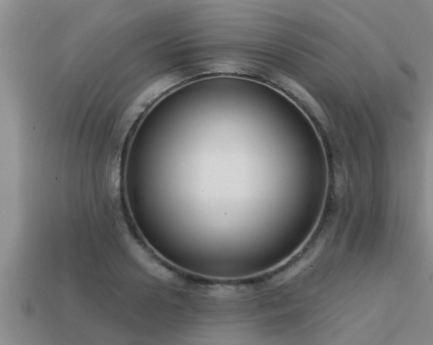 X0000113200938200909171511