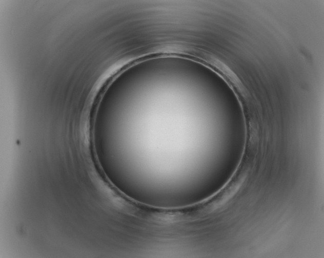 X0000113200939200909171511