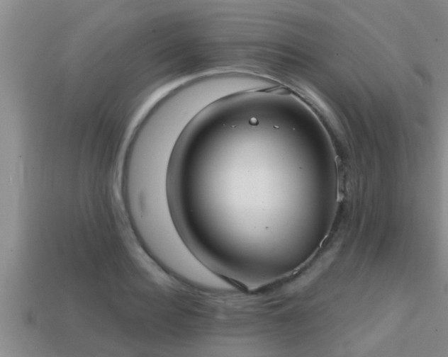 X0000113200940200909171511