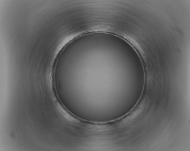 X0000113200941200909171511