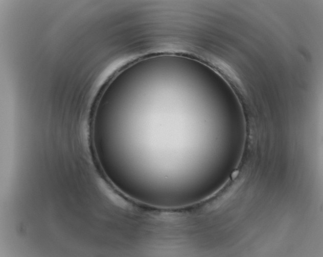 X0000113200942200909171511