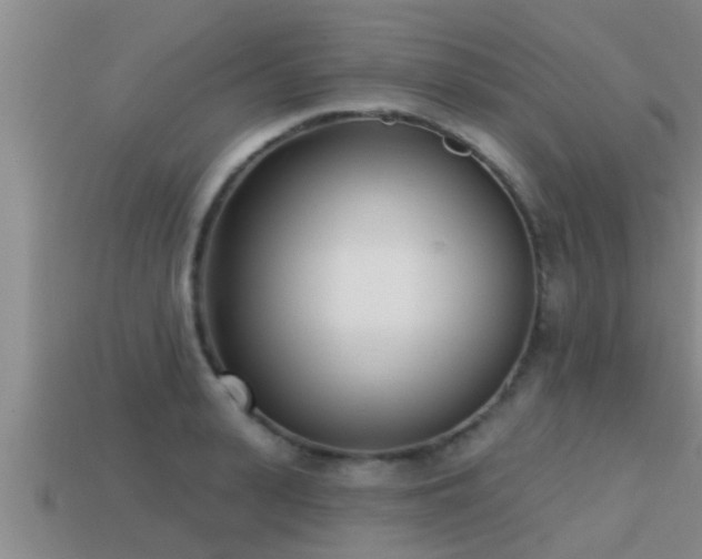 X0000113200943200909171511