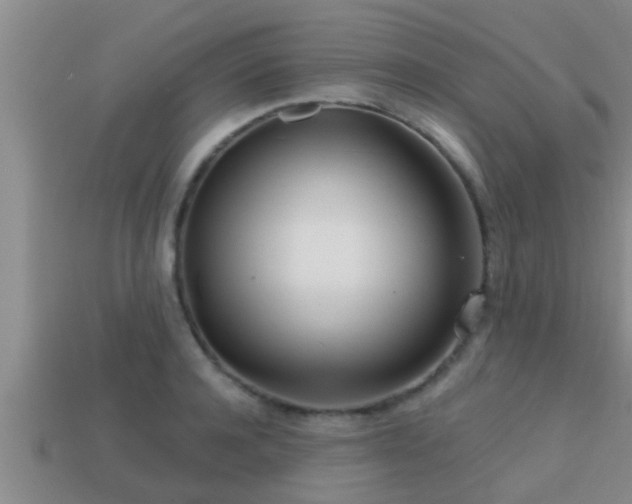 X0000113200944200909171511