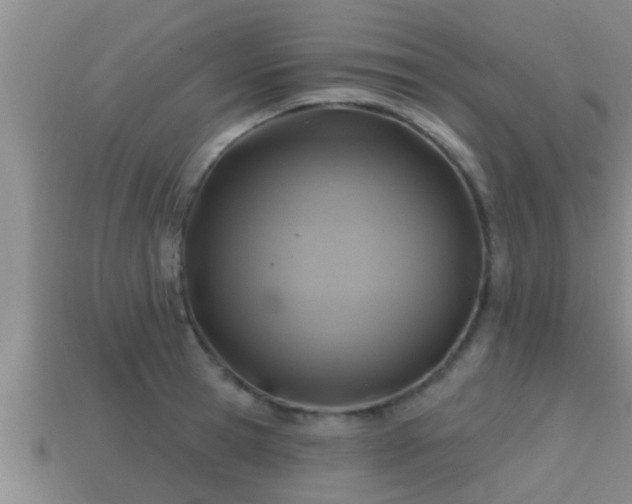 X0000113200945200909171511