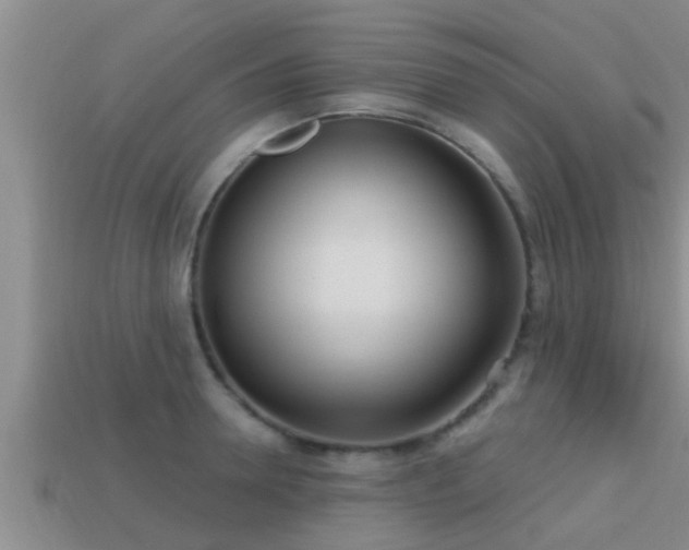 X0000113200946200909171511