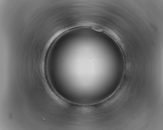 X0000113200947200909171511