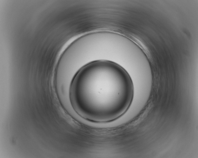 X0000113200948200909171511