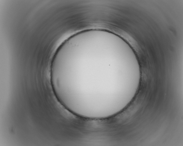 X0000113200950200909171511