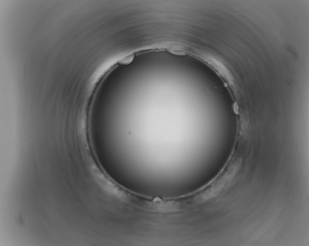 X0000113200952200909171511