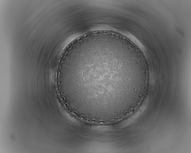 X0000113200953200909171511