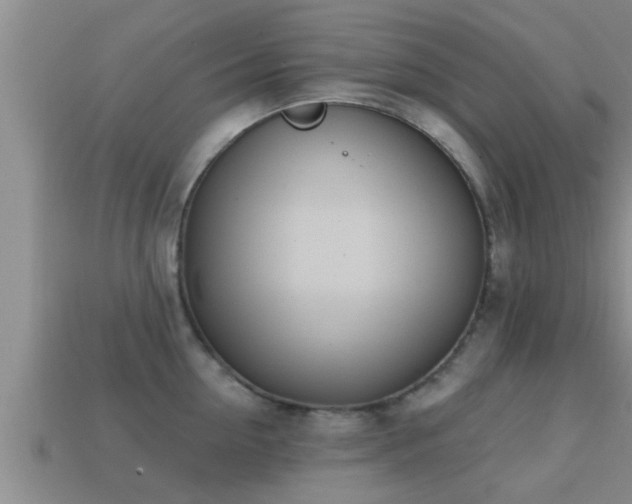 X0000113200954200909171511