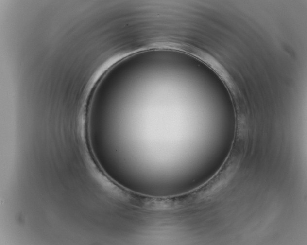 X0000113200955200909171511