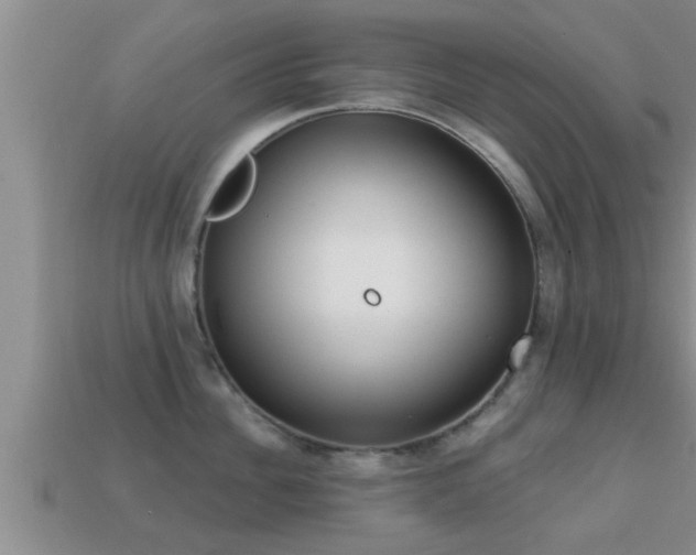 X0000113200956200909171511