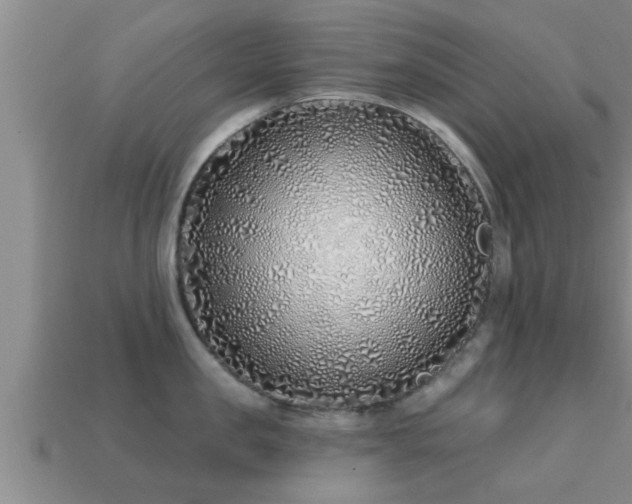 X0000113200957200909171511