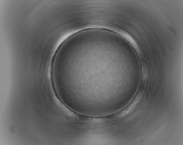 X0000113200958200909171511