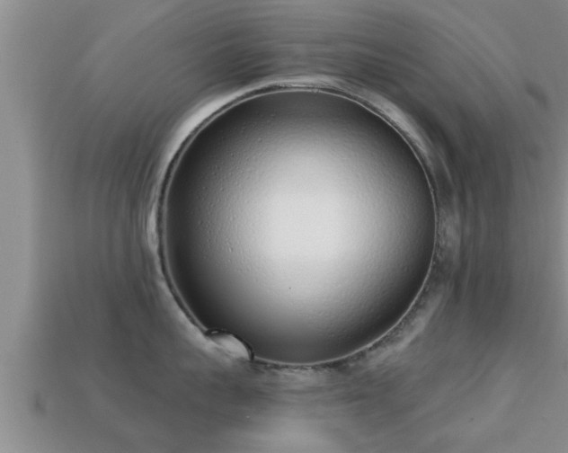 X0000113200959200909171511