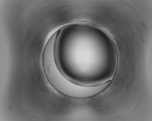 X0000113200960200909171511