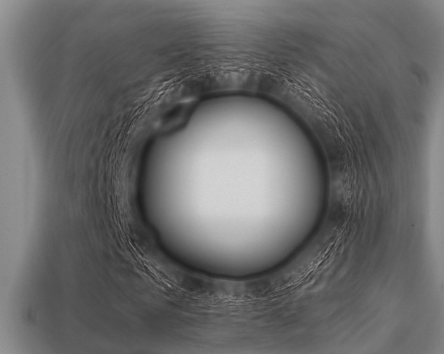 X0000113200961200909171510