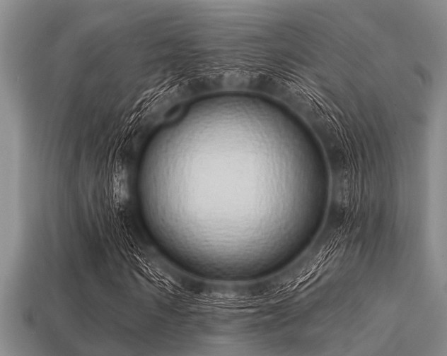 X0000113200962200909171510