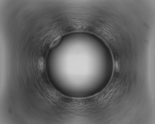 X0000113200963200909171510