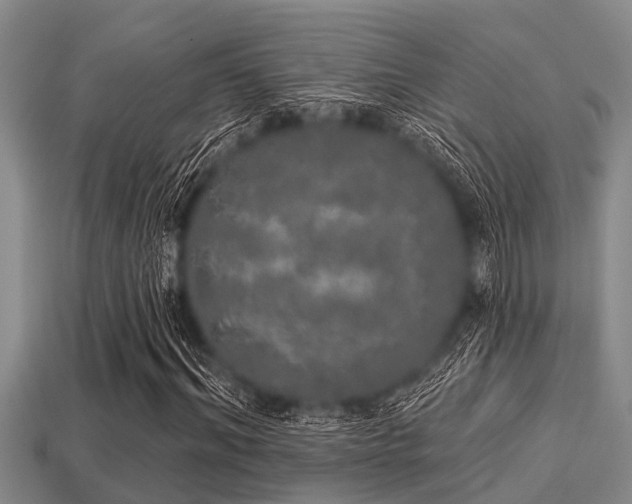 X0000113200964200909171510