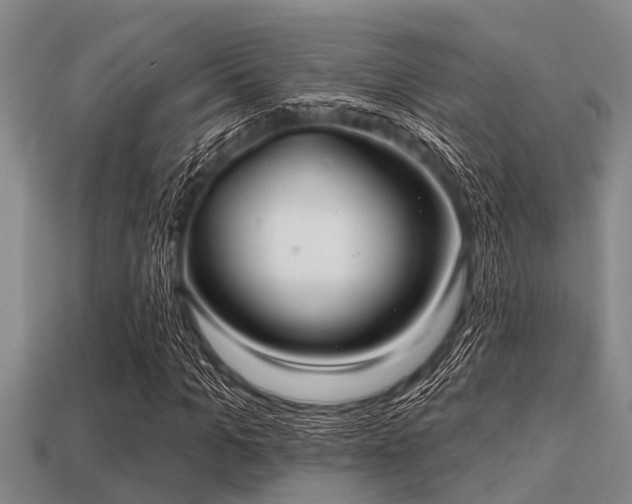 X0000113200965200909171510