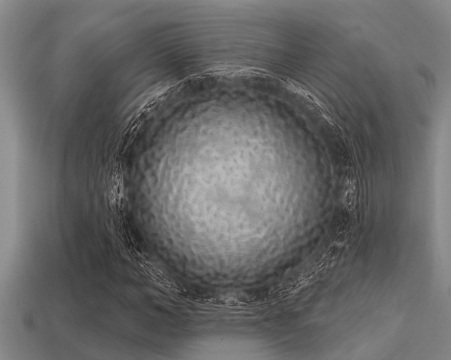 X0000113200966200909171510