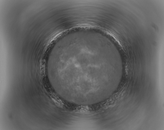 X0000113200968200909171510