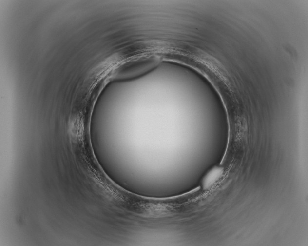 X0000113200969200909171510