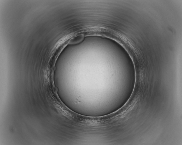 X0000113200970200909171510