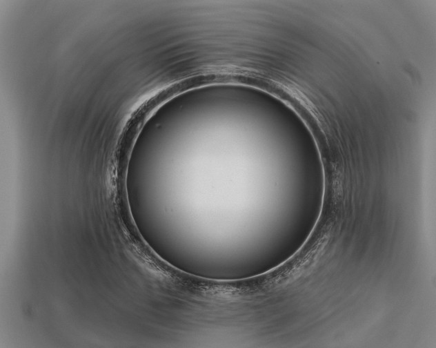 X0000113200971200909171510