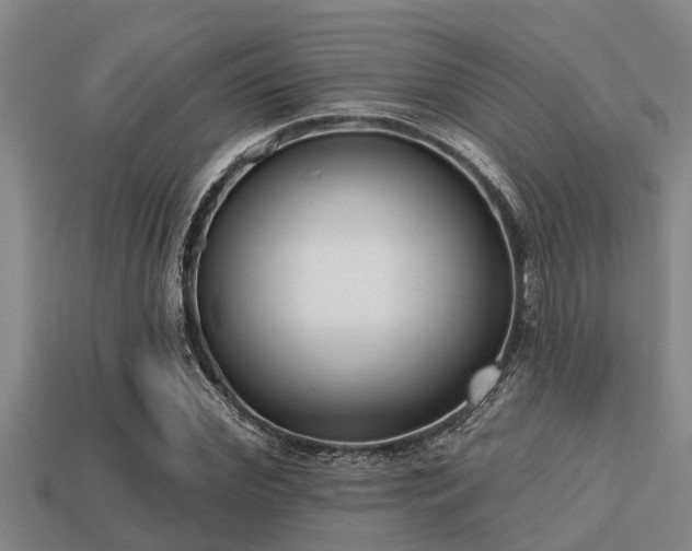 X0000113200972200909171510