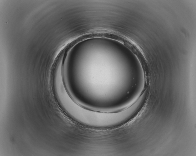 X0000113200973200909171510